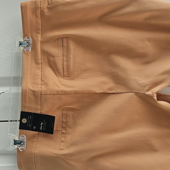 NEW JM Collection Plus Size Pull On Cambridge Pants Canyon Trail 1X - Picture 5 of 15